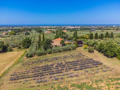an overhead view of a large field of plants at Apartment Tramontana by Interhome in Bibbona