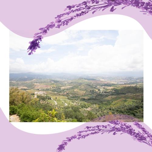 Nonna Ninna B&B – Photos 2