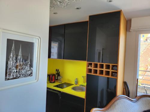 une cuisine avec un évier et un plan de travail dans l'établissement L'Orangerie, à Strasbourg