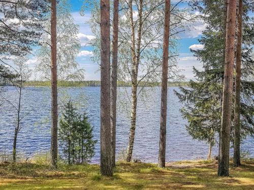 - Vistas al lago a través de un grupo de árboles en Holiday Home Männikkö by Interhome en Kammola