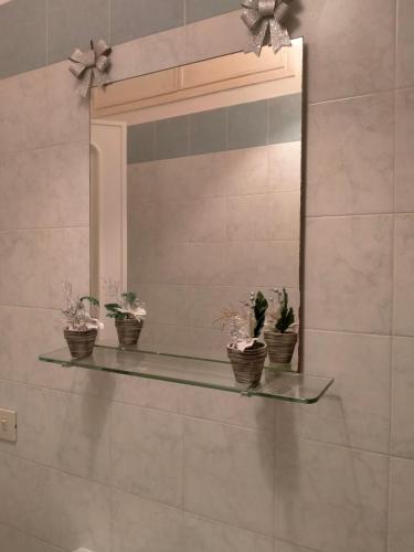 a mirror with three potted plants on a wall at Setta Apartment in Lido di Ostia