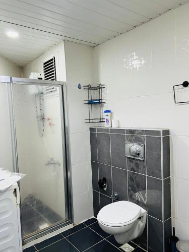 a bathroom with a shower and a toilet at aria plus ev otel in Çiftlikköy