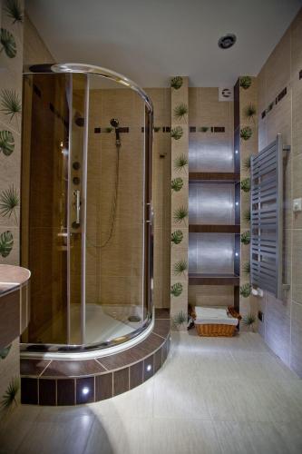 a bathroom with a shower and a sink at Leśny Dworek Zakopane in Zakopane