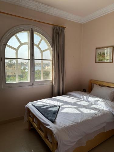 Comfy Apartments in Harmony House – Nile View