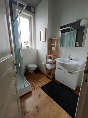 a bathroom with a sink and a shower and a toilet at Apartment Spaces in Ieper