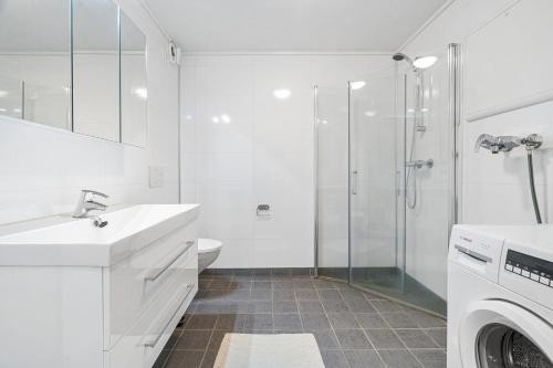 a white bathroom with a shower and a washing machine at Camp Aurora in Karlsøy