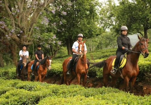 a group of people riding horses in a field at Willow Hill by Nature Resorts and Stays in Ooty