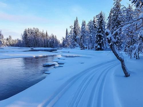 un río cubierto de nieve con un árbol en el primer plano en Holiday Home Mustikka by Interhome en Kuusamo