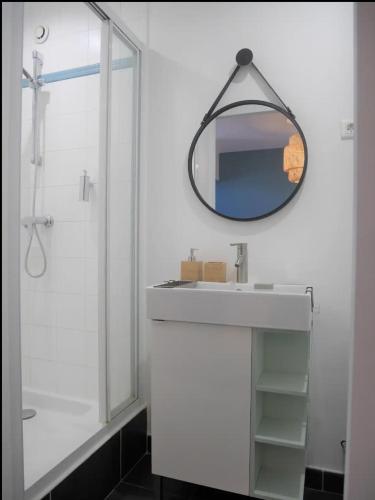 La salle de bains est pourvue d'un lavabo, d'une douche et d'un miroir. dans l'établissement Vieux-Lille - Studio en hypercentre, à Lille