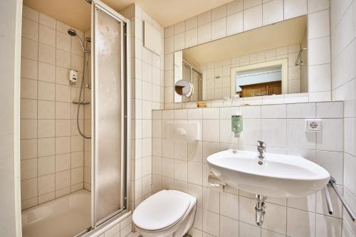 La salle de bains est pourvue d'un lavabo, de toilettes et d'une douche. dans l'établissement Bio-Hotel Helvetia, à Bad Schandau