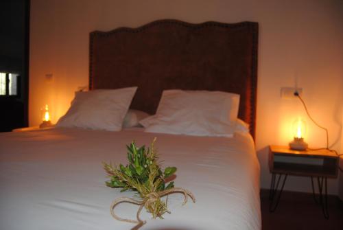 Imagen de la galería de Vivienda Rural Aroche Parralejo Chico, en Aroche