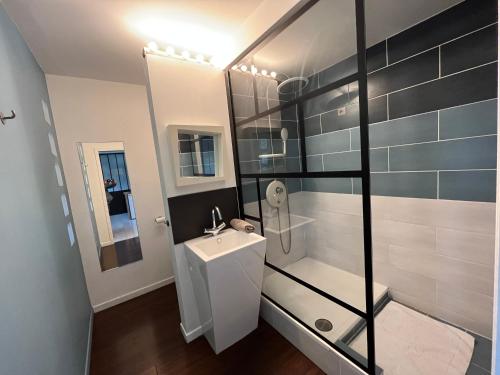 une salle de bain avec un lavabo blanc et une douche dans l'établissement Eva - Gare studio climatisé pour 4pers, à Avignon