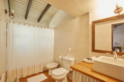 a bathroom with a toilet and a sink and a mirror at Posada La Celia in Eugenio Bustos