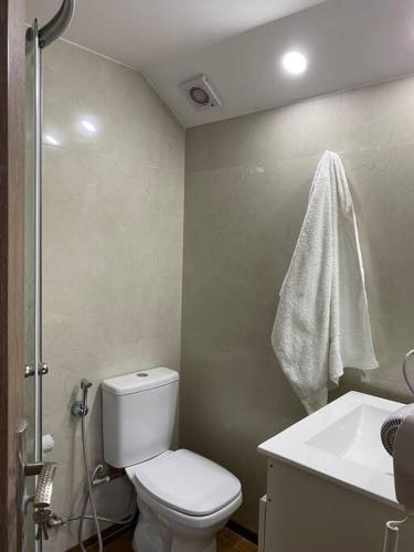 a bathroom with a toilet and a sink and a shower at Apartamento en Barrio Sur DOS HABITACIONES in Montevideo