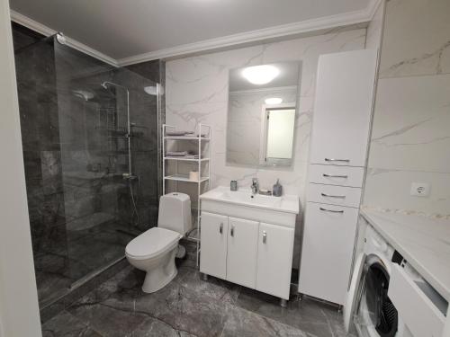 a bathroom with a toilet and a shower and a sink at Decebal in Chişinău
