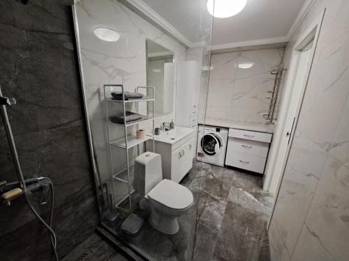 ein Badezimmer mit einem WC, einem Waschbecken und einem Spiegel in der Unterkunft Decebal in Chişinău