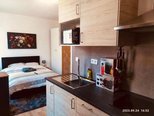 uma cozinha com um lavatório e uma cama num quarto em SalzinnesChezSoi em Namur