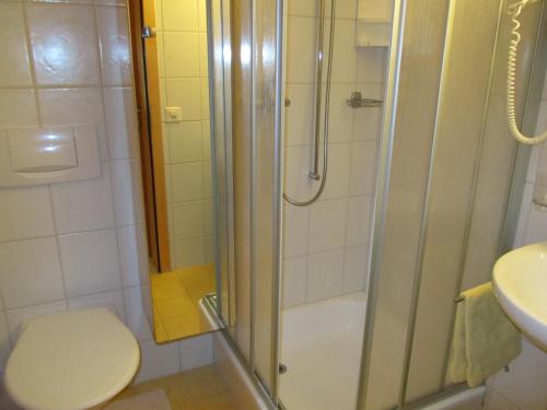 a bathroom with a shower and a toilet and a sink at Walser App.31 Pozzi in Bosco Gurin