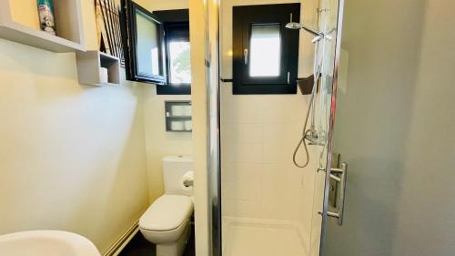La petite salle de bains est pourvue d'une douche et de toilettes. dans l'établissement Au Grand Air - Maison de vacances Merlimont plage, à Merlimont