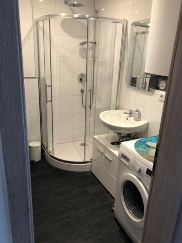 a bathroom with a shower and a washing machine at 3Zimmerwohnung mit 58m2 und gutem Internet in Neumarkt in der Oberpfalz