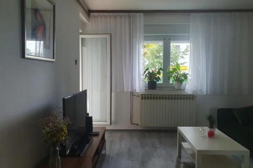 sala de estar con TV y ventana en Germalt, en Tsnori
