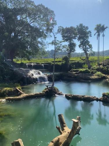 a river with a waterfall and a log in the water at Sumba Retreat Kerewe in Waikabubak