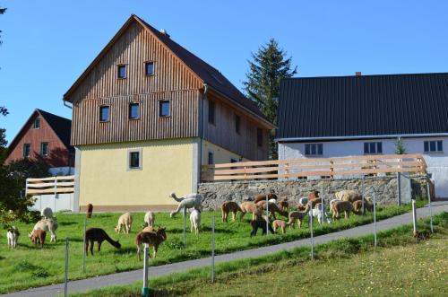 a herd of animals grazing in a field next to a building at Ferienhaus Alpaka Glück in Frauenstein