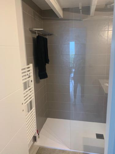 La salle de bains est pourvue d'une douche avec une porte en verre. dans l'établissement Appartement de standing avec terrasse, à Saintes-Maries-de-la-Mer