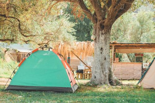 a green and orange tent next to a tree at Unique Stay at Olive Camping in Himare