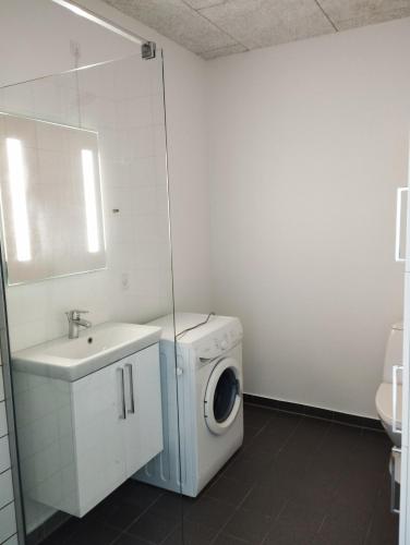 a bathroom with a washing machine and a sink at (id024) Østergade 87. 1 tv in Esbjerg