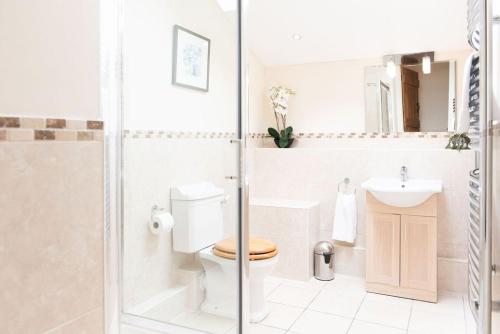 a bathroom with a toilet and a sink and a shower at Penuwch Fach in Aberystwyth
