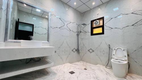 y baño con lavabo, aseo y espejo. en Greenland Farm - Dubai Margham, en Dubái