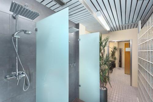 a bathroom with a shower and a walk in shower at Trip Inn Landhotel Badsoden-Salmünster in Bad Soden-Salmünster