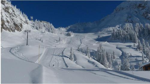 a snow covered mountain with trees and a ski slope at Residence Nube D'Argento in Sestriere
