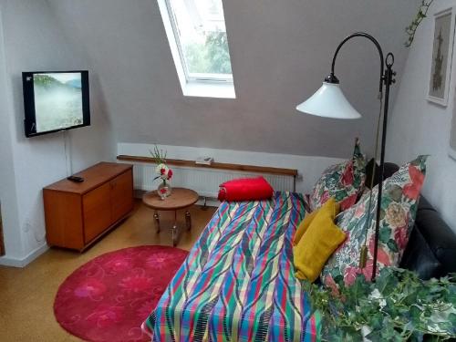 TV a/nebo společenská místnost v ubytování Ferienwohnung am Weidachbach