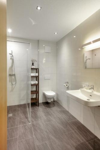a bathroom with a sink and a toilet and a shower at Hölderle Damüls in Damuls