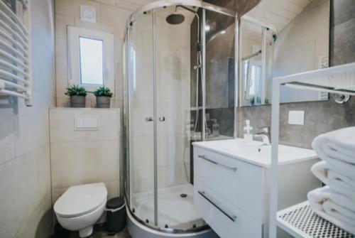 y baño con ducha, aseo y lavamanos. en Your Comfort en Zestafoni