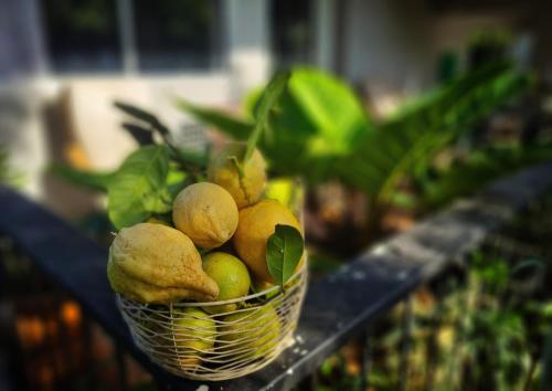 a basket of fruit is sitting on a table at Entire house in Pakchong in Ban Sathani Bandai Ma