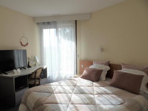 a bedroom with a large bed and a television at Logis Hotel Restaurant Le Jardin Délice in Saint-Victor
