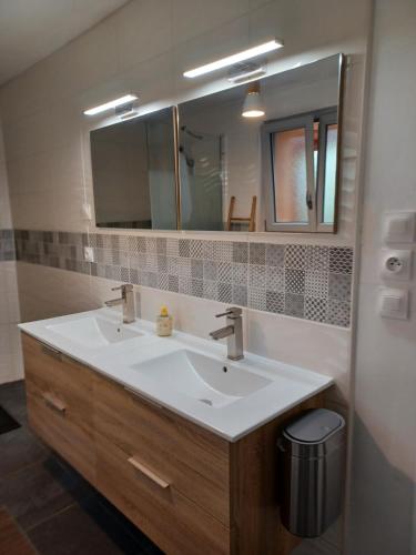 une salle de bains avec un lavabo et un miroir dans l'établissement le gîte le CAMÉLIA, à Saint-Aignan
