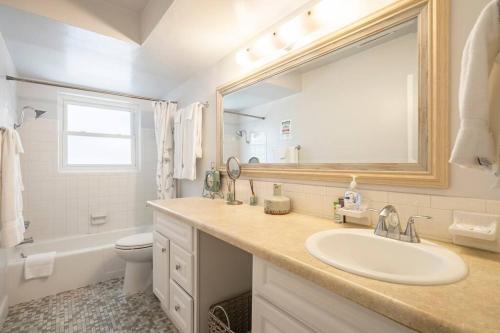 Un baño con lavabo, inodoro y espejo. en Large beautiful Magnolia in the sunny Saint Pete., en San Petersburgo