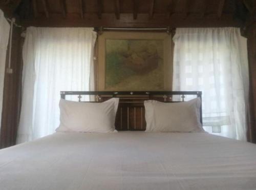un letto con due cuscini bianchi in una camera da letto di Kangkung House Bujak a Mantang