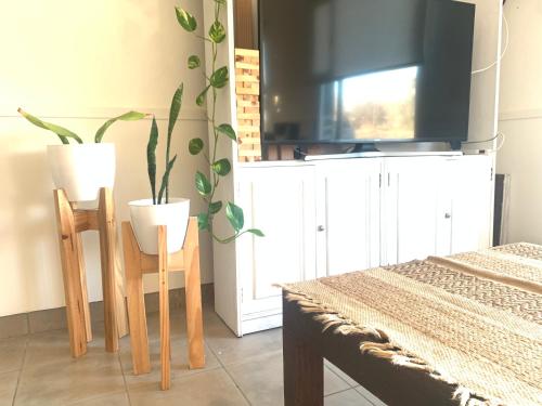 PataGo! Sea&Sand – Photos 3
