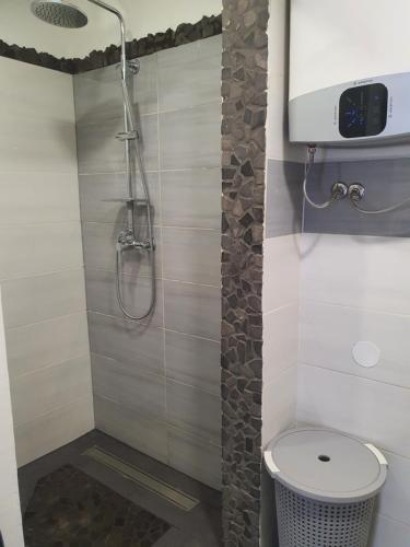 a bathroom with a shower with a toilet and a sink at Kuća za odmor SeaHouse in Karlobag