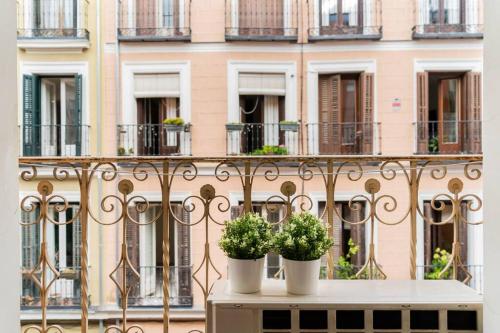 dois vasos de plantas sentados numa mesa numa varanda em Victor Apartments Chueca II em Madri