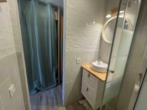 La salle de bains est pourvue d'un lavabo et d'une douche avec rideau de douche. dans l'établissement Studette rénovée avec goût - Accès direct aux pistes - Emplacement central à Tignes Le Lac - FR-1-502-536, à Tignes