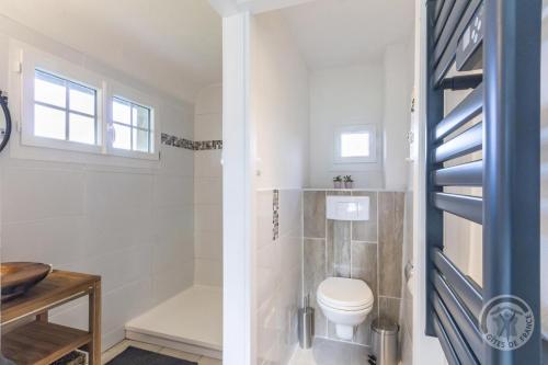 a bathroom with a toilet and a shower at La Maisonnette in Saint-Pierre-sur-Dives
