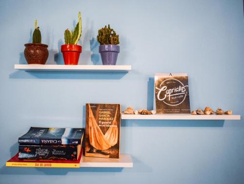CAPRICHOS Rooms في تاماريندو: رف يحتوي على الكتب وبعض النباتات والأشياء الأخرى