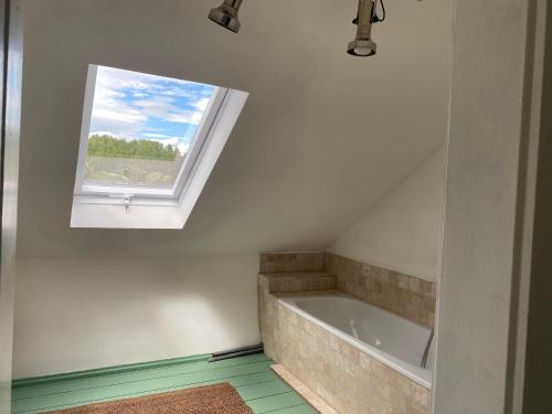 a bathroom with a bath tub and a window at Grüne Villa in Bad Brambach