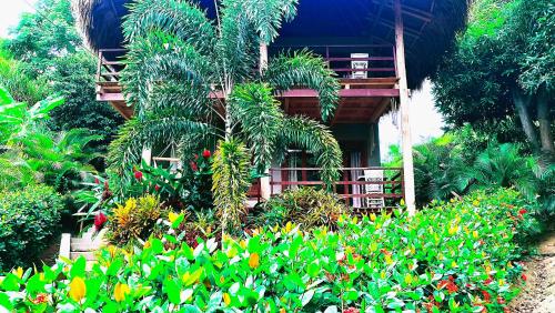 a building with a bunch of plants in front of it at Hotel Isabella Tayrona in Los Naranjos